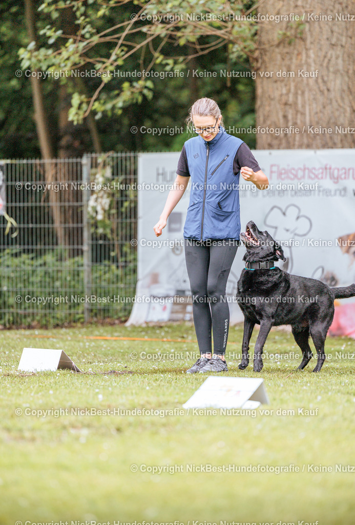 RO-Blumenthal-2026-Nickbest-Hundefotografie-0242 | Dein Hund! Dein Moment! Deine Erinnerungen! Hundefotografie in Bremen Blumenthal. Ich fange die besonderen Momente deines Vierbeiners ein – ob Indoor mit Blitzanlage oder in der freien Natur. Sicher dir dein Moment und dein Termin für eure Erinnerungen.