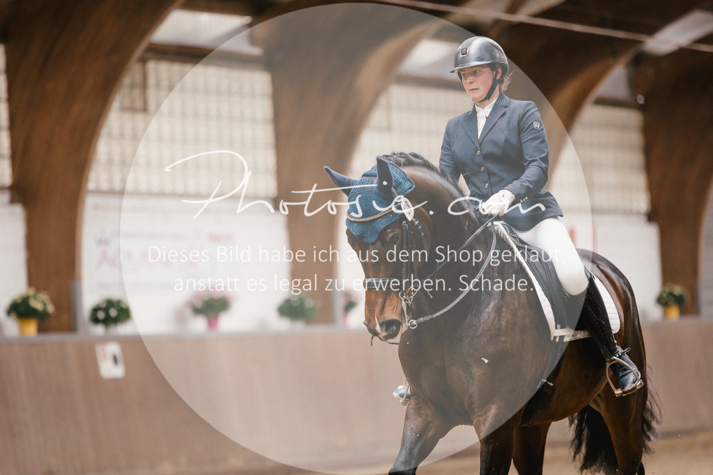 3I6A8505 | Stimmungsvolle Portraits und Reitsportfotografie im Ruhrgebiet und im Münsterland.

Pferdefotografie, Hundefotografie, Tierfotografie, Reportagen, Portraits von Tier und Mensch, Turnierfotografie in Bochum, Recklinghausen, Marl, Haltern am See, Dülmen.. - Realisiert mit Pictrs.com