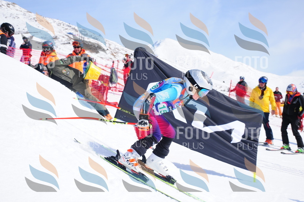 DSC_1375 | holidayphoto