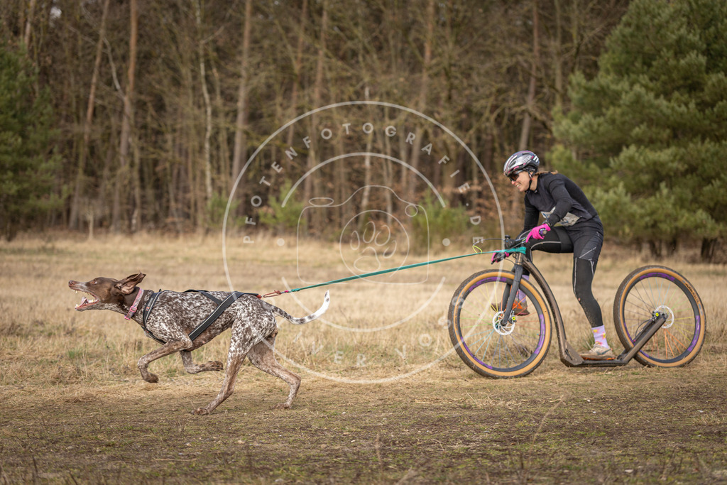 DV3A4637 | Hundefotografie, Tierfotograf, Pfotenfotografie, Fotoshooting Hund, Hunde Portrait, Hundesport, Hundeportraits, Heideshooting, Hunde, Sportfotograf, Hundefotograf, Turnierhundsport, THS,  - Realisiert mit Pictrs.com