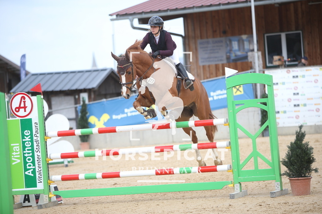 AS8V6905 | Willkommen bei Brunnmayr - Design & Fotografie – Ihrem Spezialisten für Reitturniere und Pferdeveranstaltungen in Oberösterreich, Salzburg und Bayern! Seit über 17 Jahren sind wir leidenschaftlich dabei.