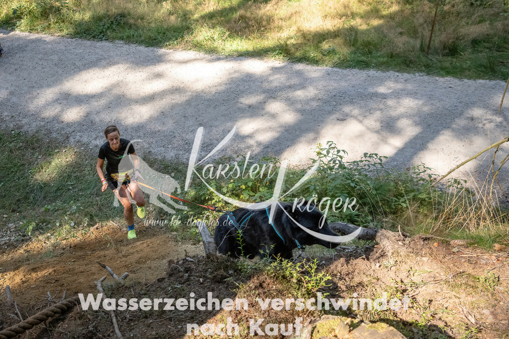 1240_ZZ94828 | kk-dogfotos
