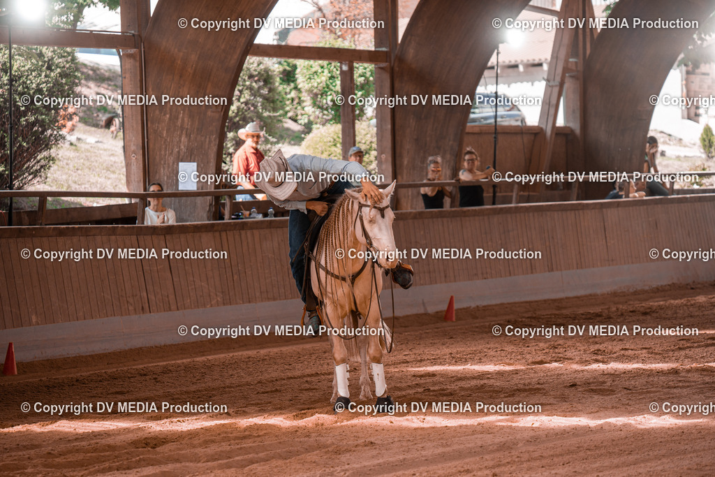 NE201028 | dv-media-shop - Realisiert mit Pictrs.com