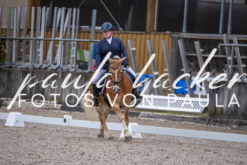 IMG_2435 | Erleben Sie dynamische Sport- und emotionale Tierfotografie in Süddeutschland mit Fotos von Paula. Spezialisiert auf Pferde- und Hundefotografie sowie Sportevents. Kontaktieren Sie mich für einzigartige und ausdrucksstarke Bilder Ihrer besonderen Momente. - Realisiert mit Pictrs.com