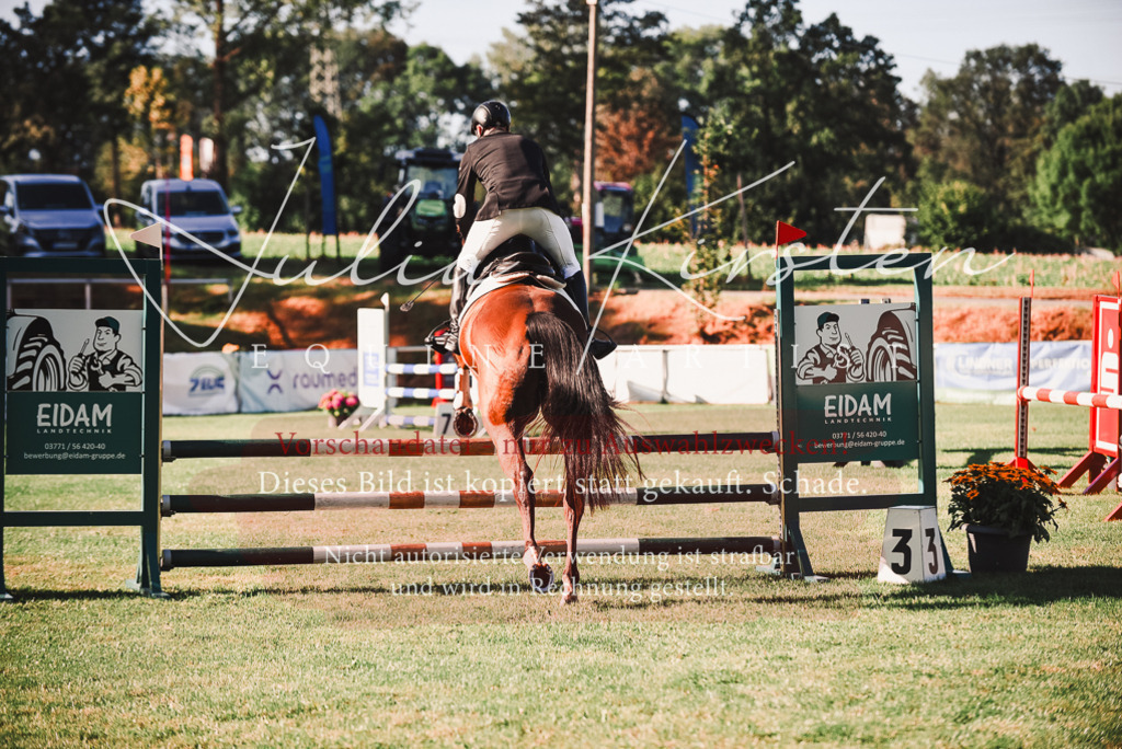DSC_2176 | Pferde- und Turnierfotografie in Westsachsen. Pferdeportraits, Auftragszeichnungen und intuitive Kunst.