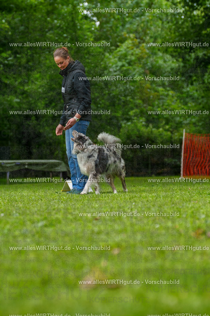 @allesWIRTHgut_Tierfotografie - www.allesWIRTHgut.de - 7R500260 | Professionelle Tierfotografie in Mönchengladbach von Daniel Wirth (allesWIRTHgut). Liebevolle & natürliche Bilder von Hunden & Katzen für unvergessliche Erinnerungen.