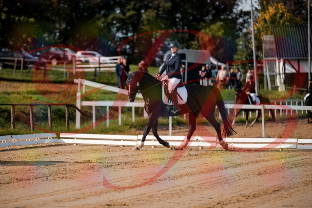 2026_10_03_Siefer-Hof_113249_Z63_19174173 | Professionelle Reitsport-, Turnier- und Eventfotografie von Robert Broda. Galerien mit ausgewählten und bearbeiteten Bildern direkt online ansehen und bestellen.