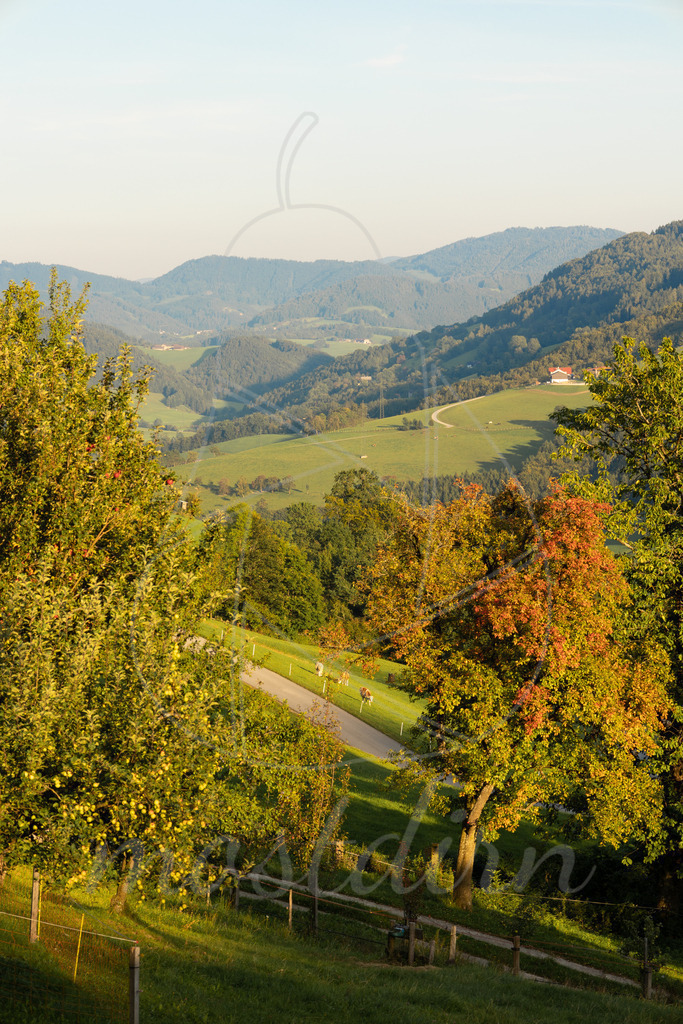 Heimatblick Randegg | Bei Veröffentlichung des Bildes ist eine Namensnennung wie folgt erforderlich: 
Foto: Mostdirn Irmgard Wieser - Realisiert mit Pictrs.com