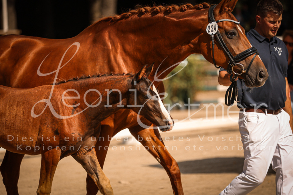 09.DoWBD00049 | Leoni Ertmer Photography - Realisiert mit Pictrs.com