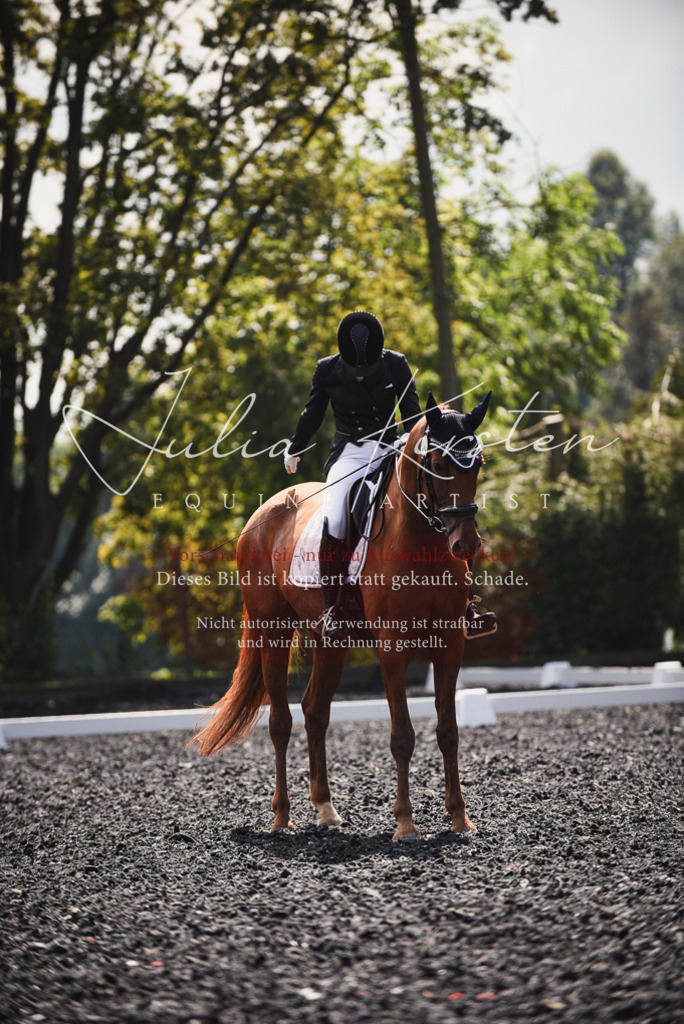 DSC_4051 | Pferde- und Turnierfotografie in Westsachsen. Pferdeportraits, Auftragszeichnungen und intuitive Kunst.
