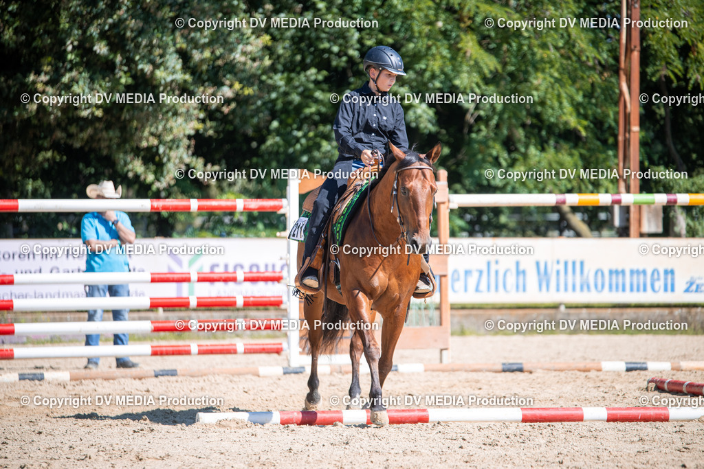 ZS1_0908 | dv-media-shop - Realisiert mit Pictrs.com