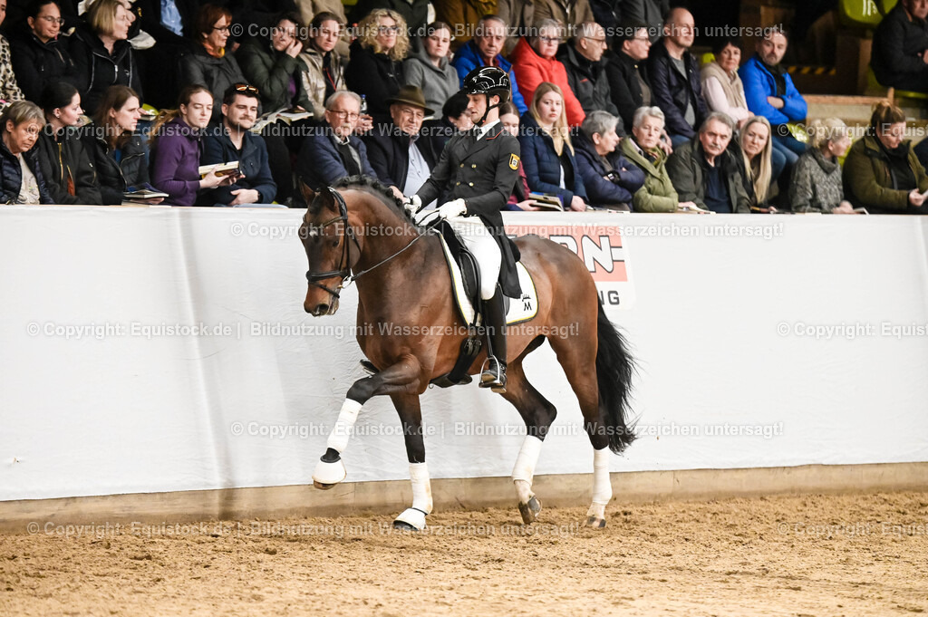 20260307_Hengstvorstellung-Marbach_0379 | equistock