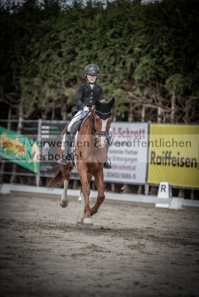 DSC_3267 | equestrian-live-com