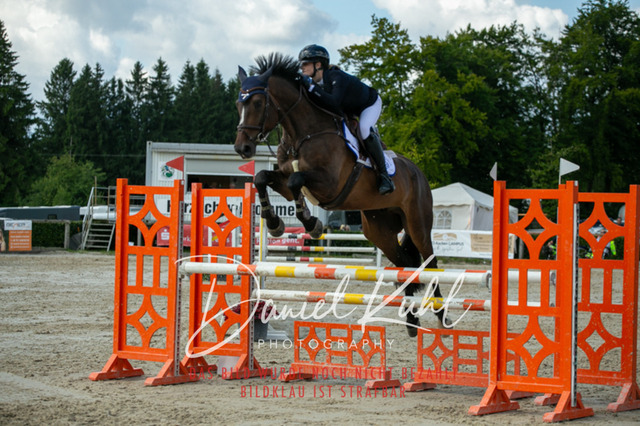 IMG_5549 | Turniersportfotografie; Pferdefotografie; Dressurfotografie