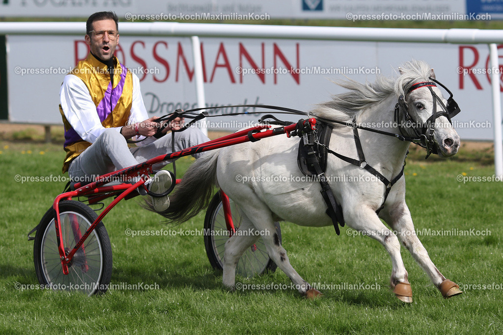 Han010523xx041 | 01.05.2023, Hannover, Galopprennbahn Langenhagen Neue Bult, Hannover 96 Renntag auf der Pferderennbahn. Assistenztrainer Andre Mijatovic siegt im Sulky bei der Minitraber Trainer-Trophy mit Pony Paco.