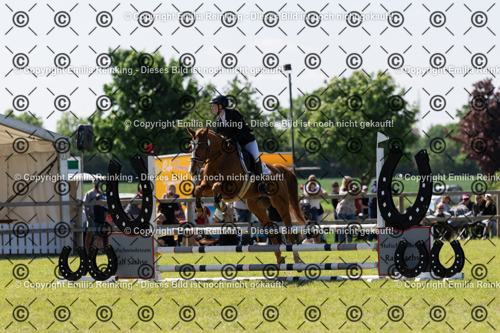 CL5A0910 | Emilia Reinking Fotografie - Realisiert mit Pictrs.com