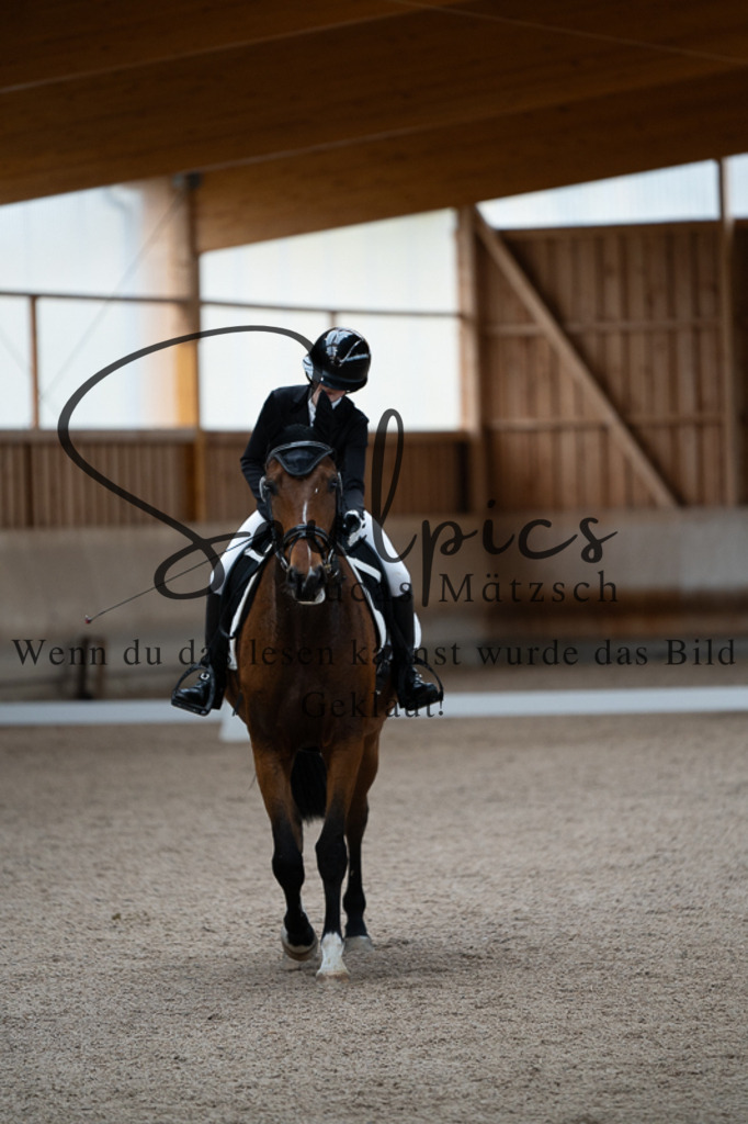 A7V02420 | Pferdefotograf