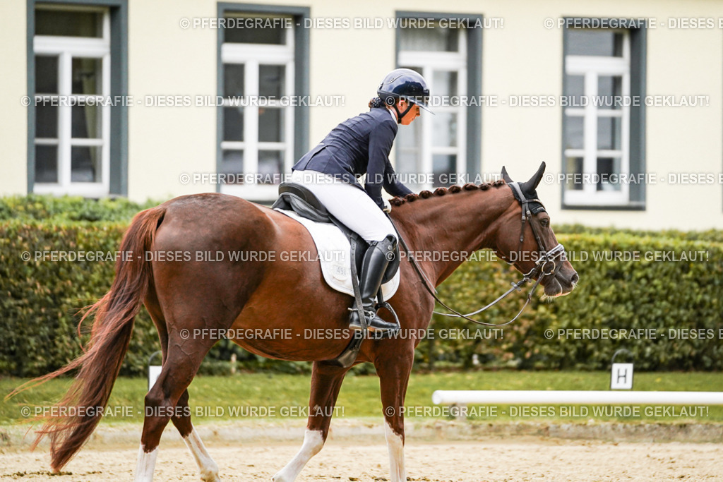 DSC06974 | Pferdegrafie