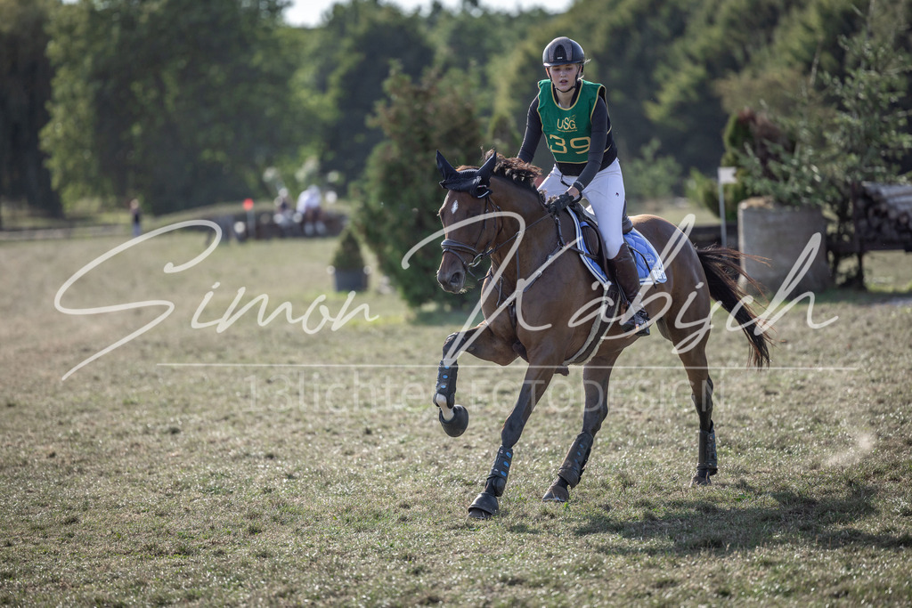 20250907-_3LI4079 | Tierfotografie Pferde, Hunde, Katzen, Haustiere.
Turnierfotografie Reitturniere, Reiten, Springreiten, Dressur in Hanau, dem Main-Kinzig-Kreis und dem Rhein-Main- Gebiet um Frankfurt
