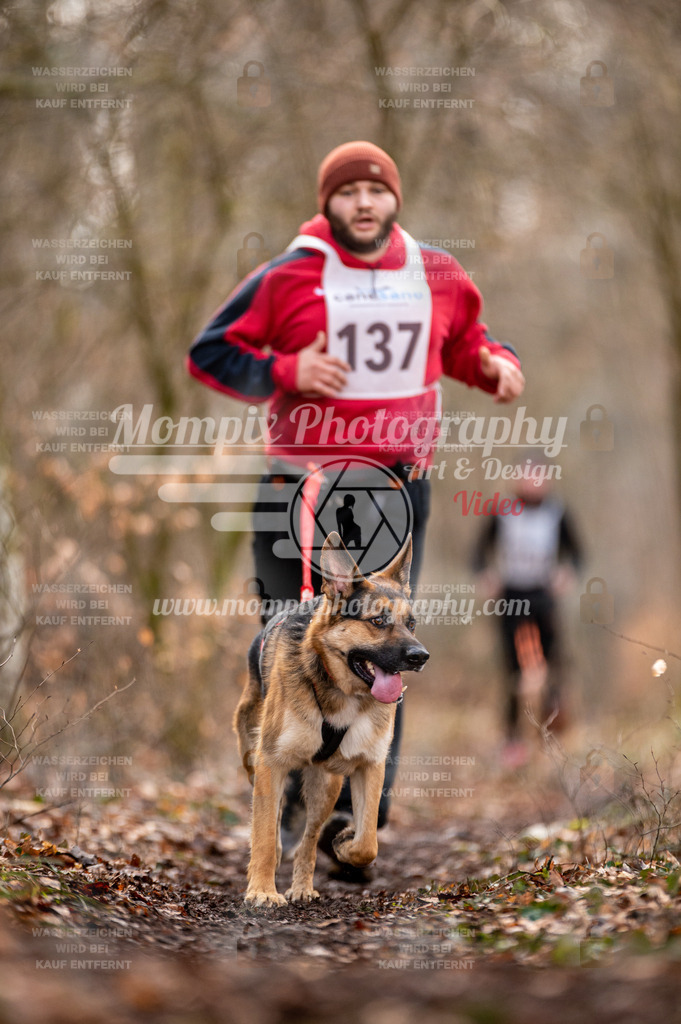 Reiat2023_SON_CaniXRun_5km_M-40 | PayLife