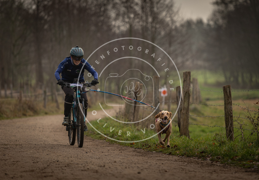 Pfotenfotografie_DV3A1964 | Hundefotografie, Tierfotograf, Pfotenfotografie, Fotoshooting Hund, Hunde Portrait, Hundesport, Hundeportraits, Heideshooting, Hunde, Sportfotograf, Hundefotograf, Turnierhundsport, THS,  - Realisiert mit Pictrs.com