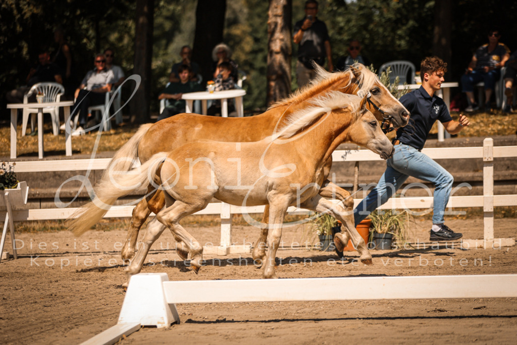 06.DoH00069 | Leoni Ertmer Photography - Realisiert mit Pictrs.com