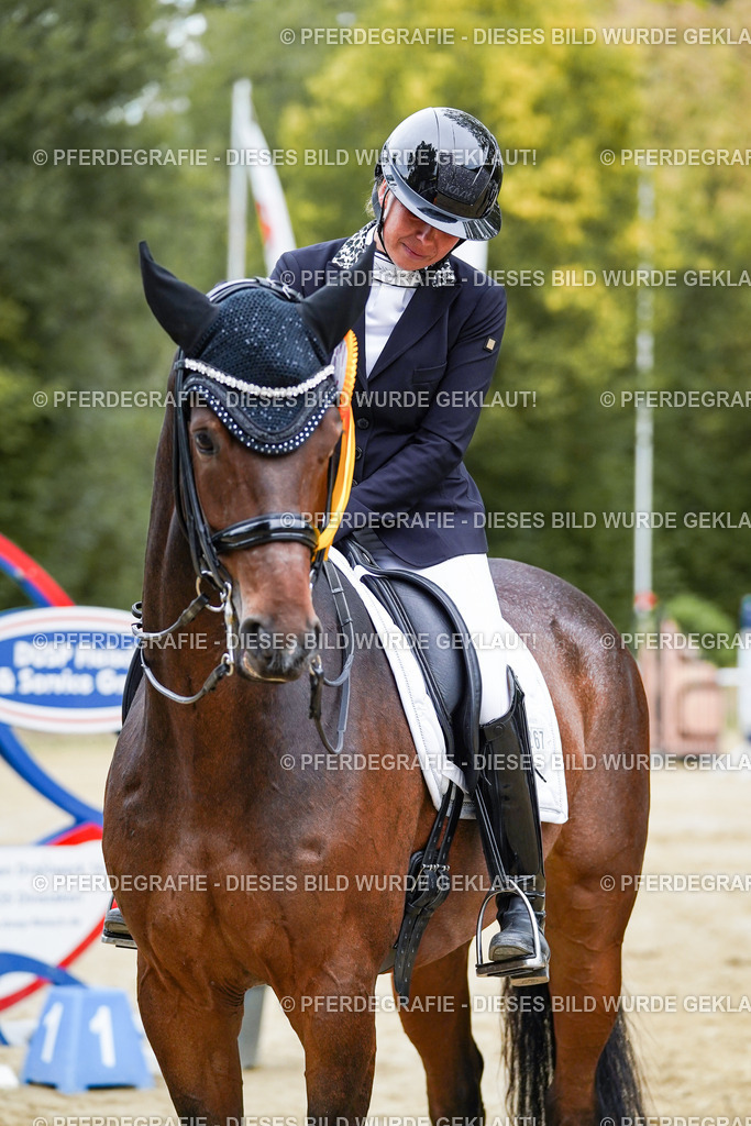 DSC02560 | Pferdegrafie