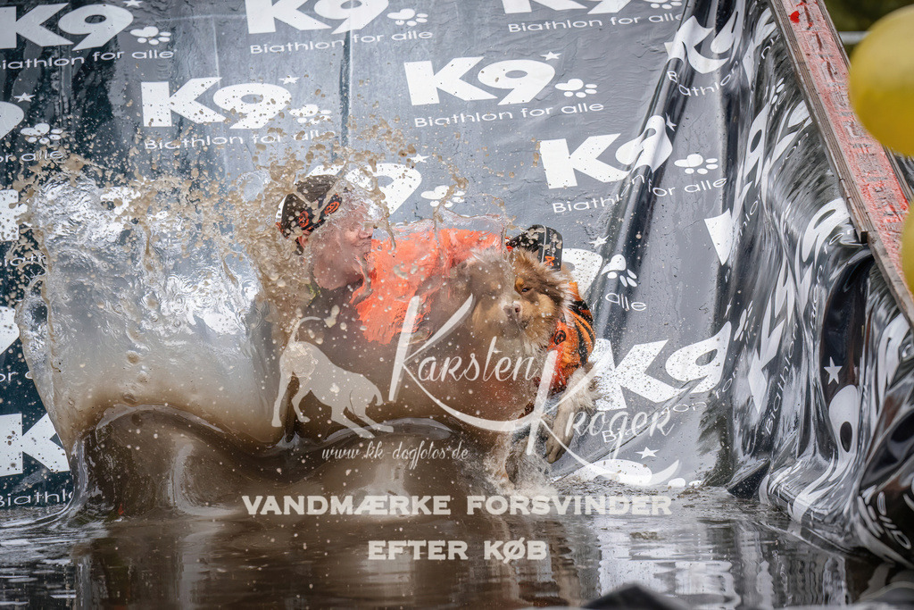 1214_ZZ94817 | kk-dogfotos