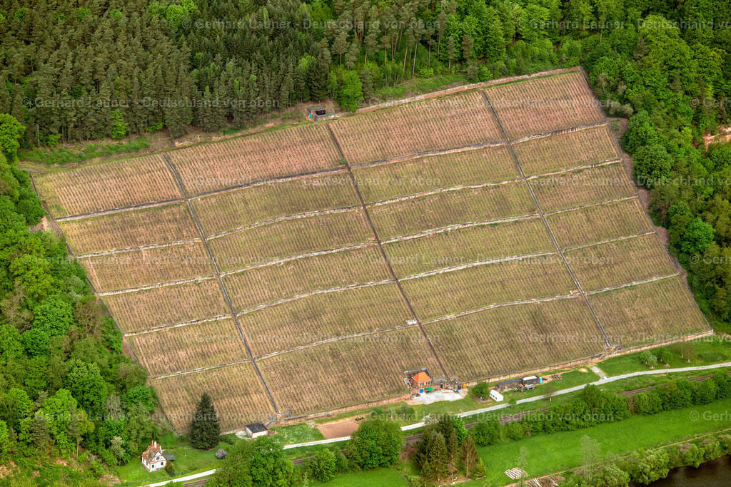 3500364 | Weinberg bei Bürgstadt