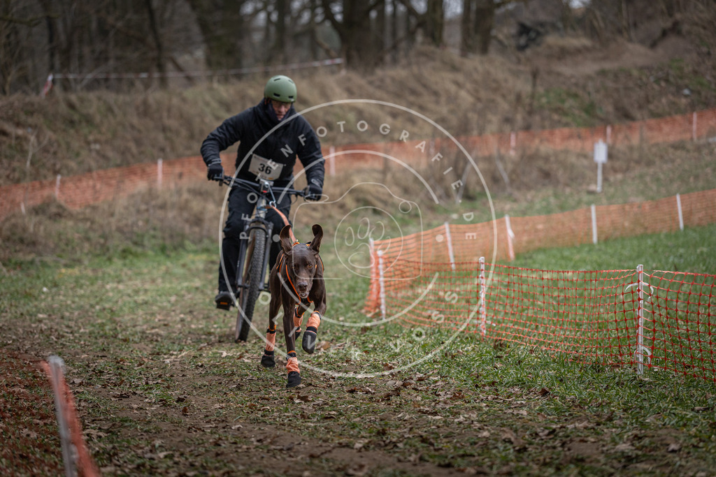 Pfotenfotografie_DV3A9713 | Hundefotografie, Tierfotograf, Pfotenfotografie, Fotoshooting Hund, Hunde Portrait, Hundesport, Hundeportraits, Heideshooting, Hunde, Sportfotograf, Hundefotograf, Turnierhundsport, THS,  - Realisiert mit Pictrs.com