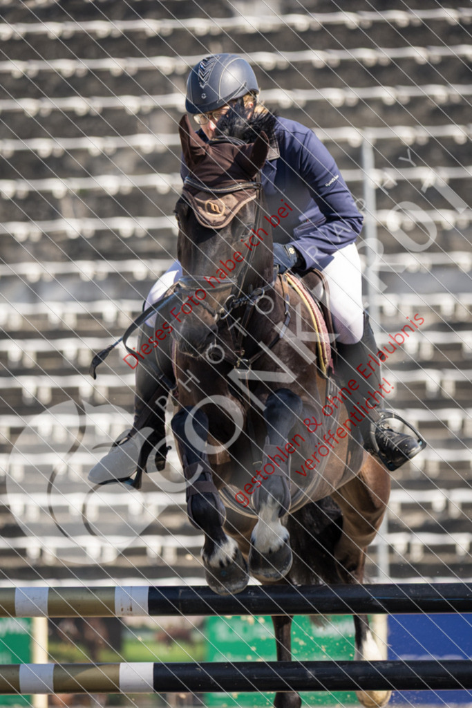 IMG_3724 | Sport-, Event- und Tierfotos in Profiqualität. Einfach auswählen, bestellen und herunterladen. Dein Moment – perfekt festgehalten.