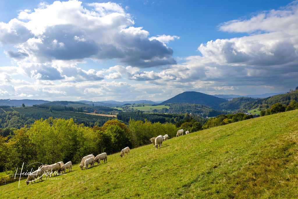 Westfeld und Umgebung 006 | Bilder und Impressionen zu jeder Jahreszeit aus dem Sauerland im Naturpark Sauerland-Rothaargebirge - Realisiert mit Pictrs.com