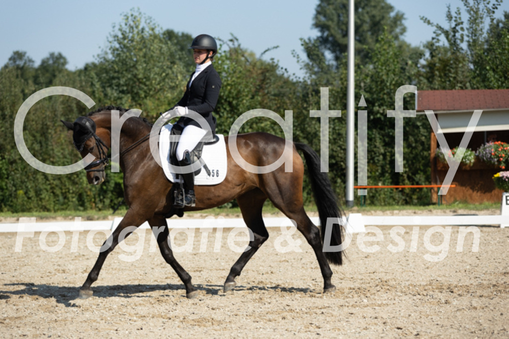 IMG_5946 | Creatify Fotografie