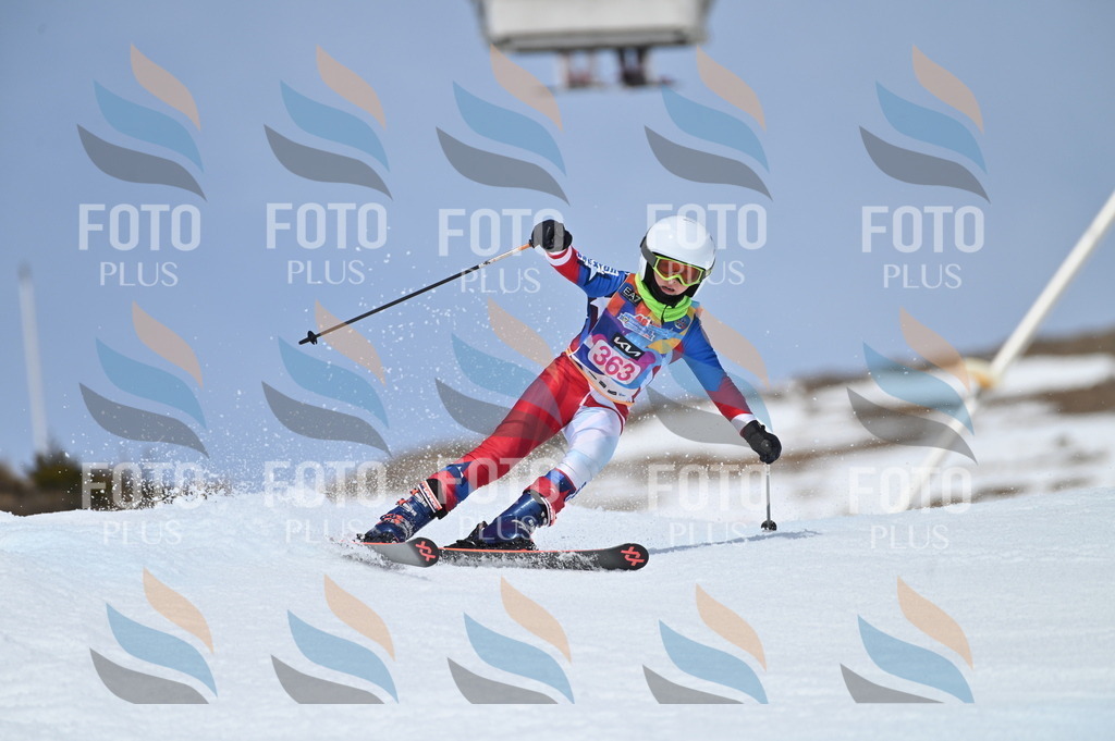 BGV_3889 | holidayphoto