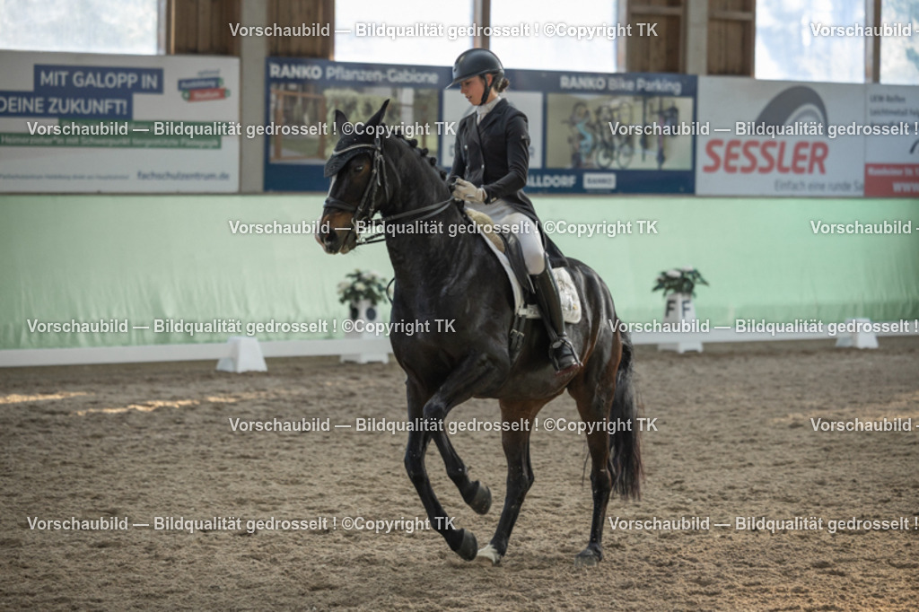 _D5A0645 | Emotionale Pferde- & People-Fotografie rund um Heidelberg, Leimen & Umgebung. Natürliche Fotos von Pferd, Mensch & Familie. Jetzt Termin sichern!