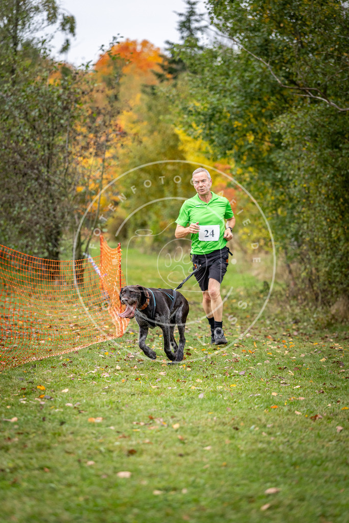 Pfotenfotografie_DV3A2014 | Hundefotografie, Tierfotograf, Pfotenfotografie, Fotoshooting Hund, Hunde Portrait, Hundesport, Hundeportraits, Heideshooting, Hunde, Sportfotograf, Hundefotograf, Turnierhundsport, THS,  - Realisiert mit Pictrs.com
