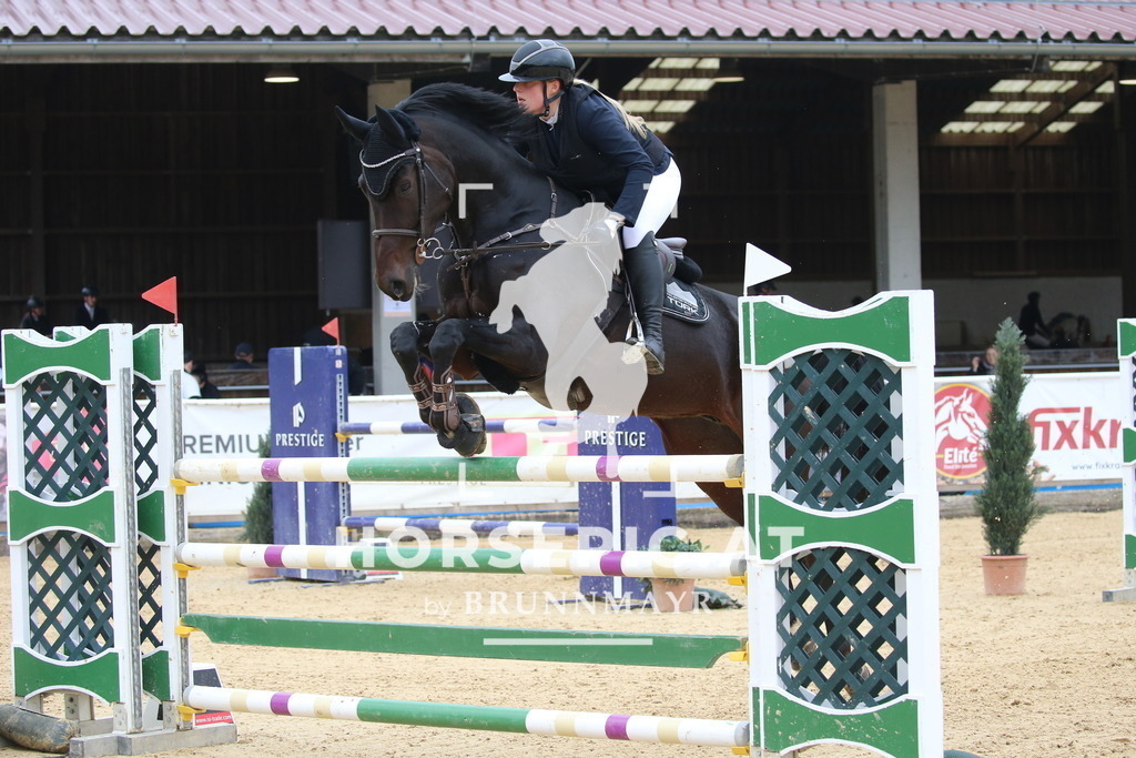 DL2Q1032 | Willkommen bei Brunnmayr - Design & Fotografie – Ihrem Spezialisten für Reitturniere und Pferdeveranstaltungen in Oberösterreich, Salzburg und Bayern! Seit über 17 Jahren sind wir leidenschaftlich dabei.