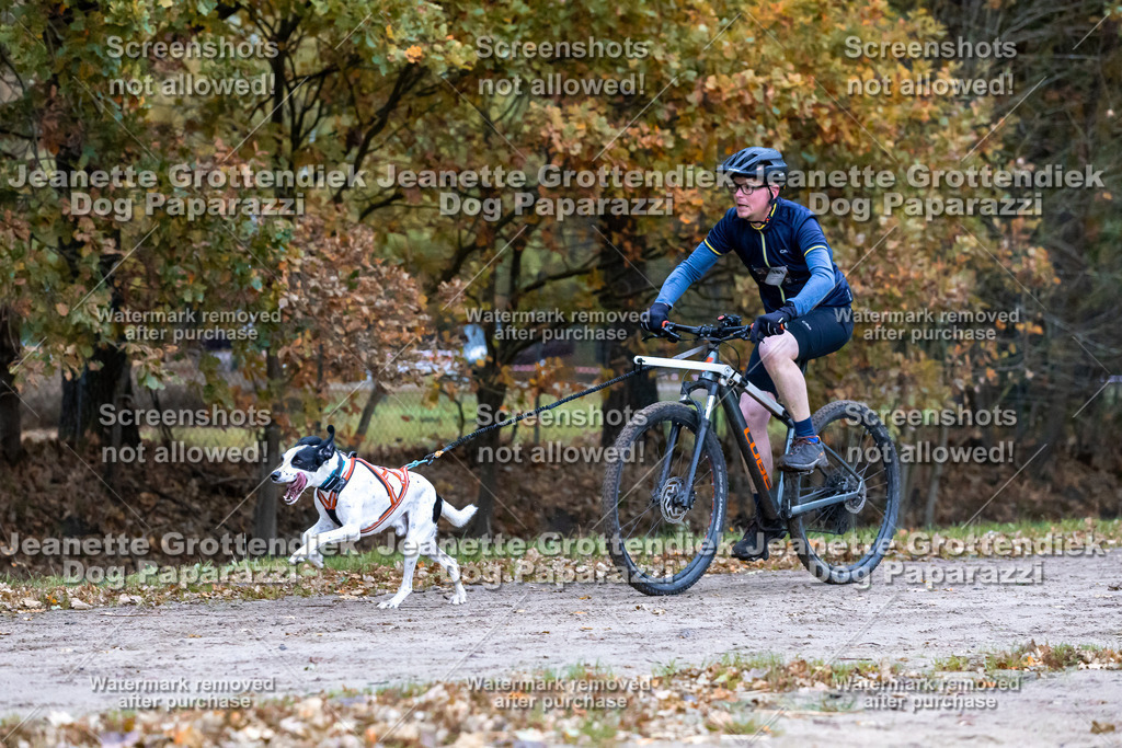 Dog Paparazzi - SD CaniX Championship 2025-240 | Dog Paparazzi Jeanette Grottendiek Fotografie & Videografie - Realisiert mit Pictrs.com