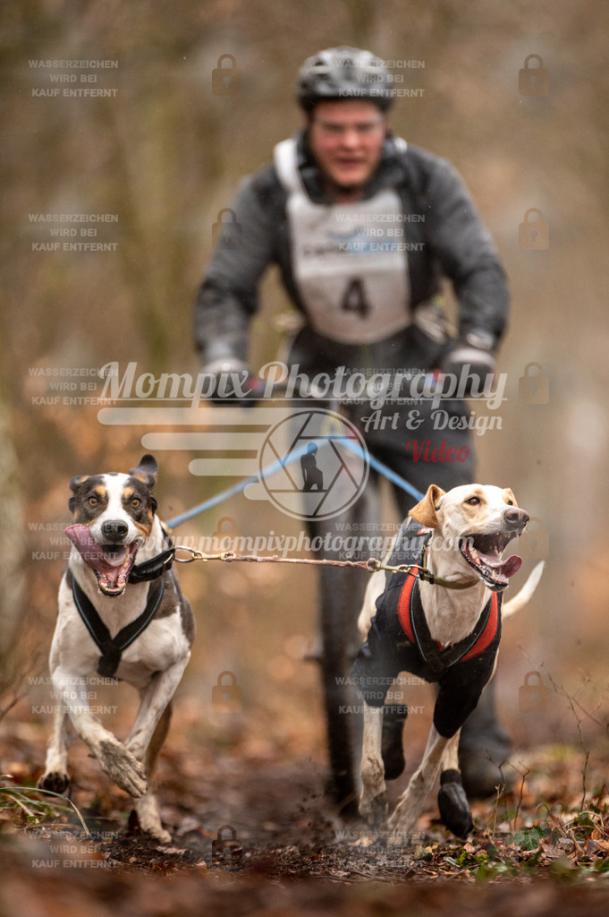 Reiat2023_SON_DS2_5km_2H-18 | mompixphotography