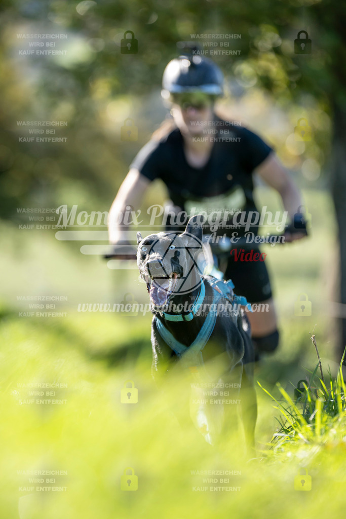 MompixPhotography_20TSB_E3_DS1-10 | PayLife