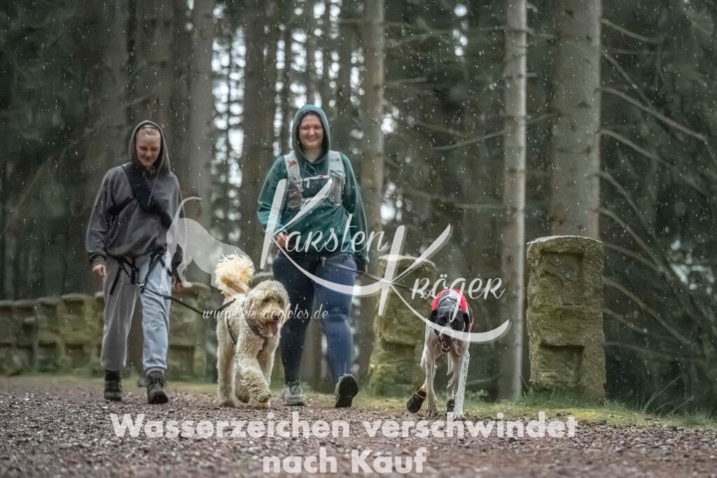 0837_ZZ92221 | kk-dogfotos