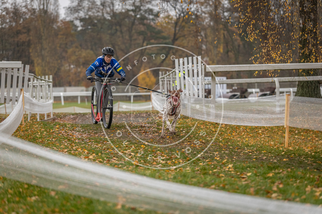 CaniXpix_DV3A7542 | Hundefotografie, Tierfotograf, Pfotenfotografie, Fotoshooting Hund, Hunde Portrait, Hundesport, Hundeportraits, Heideshooting, Hunde, Sportfotograf, Hundefotograf, Turnierhundsport, THS,  - Realisiert mit Pictrs.com