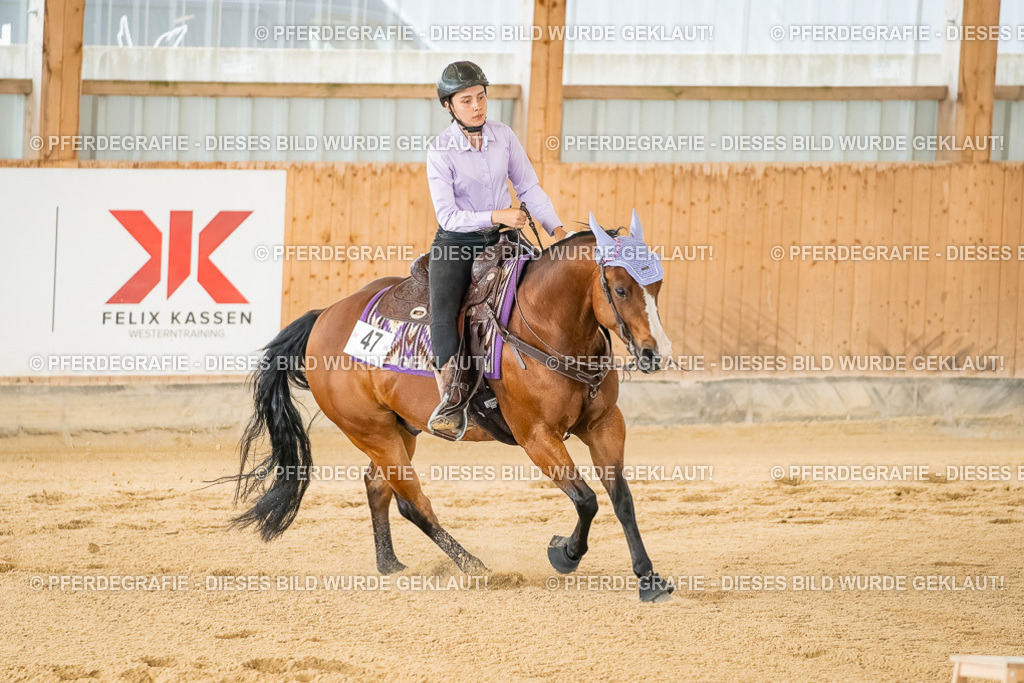 DSC07134 | Pferdegrafie