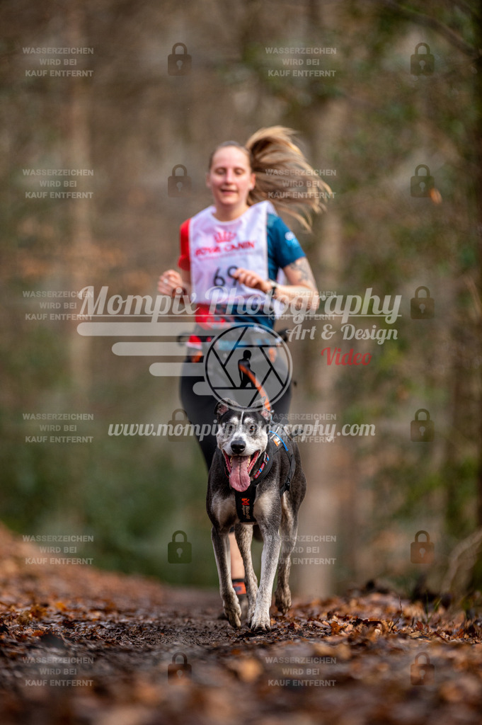 SPA_2023_DIM_CCL-168 | PayLife