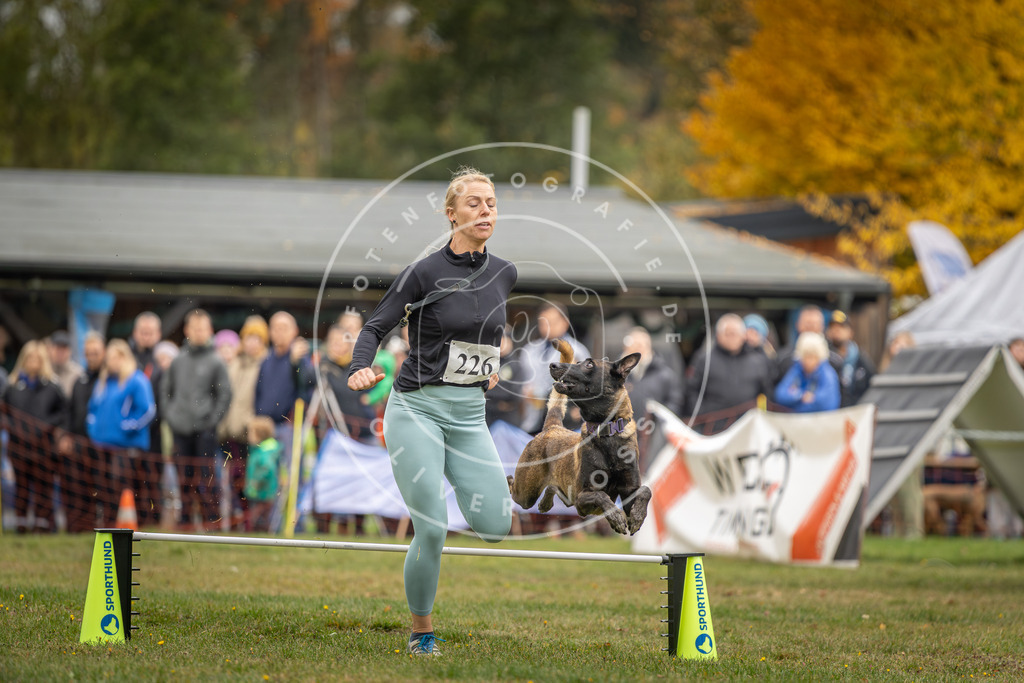 Pfotenfotografie_DV3A3187 | Hundefotografie, Tierfotograf, Pfotenfotografie, Fotoshooting Hund, Hunde Portrait, Hundesport, Hundeportraits, Heideshooting, Hunde, Sportfotograf, Hundefotograf, Turnierhundsport, THS,  - Realisiert mit Pictrs.com