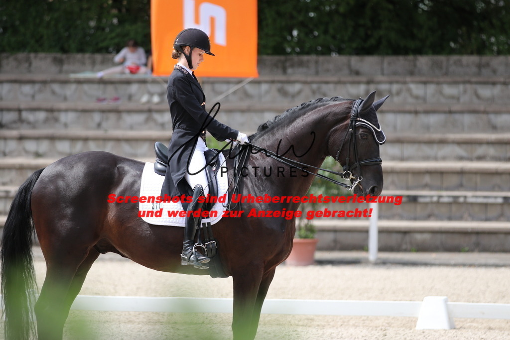 IMG_1821 | lmwpictures - Realisiert mit Pictrs.com