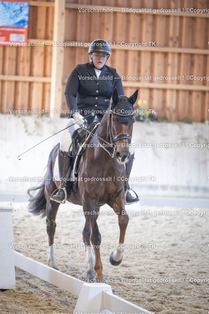 _D5A5113 | Emotionale Pferde- & People-Fotografie rund um Heidelberg, Leimen & Umgebung. Natürliche Fotos von Pferd, Mensch & Familie. Jetzt Termin sichern!