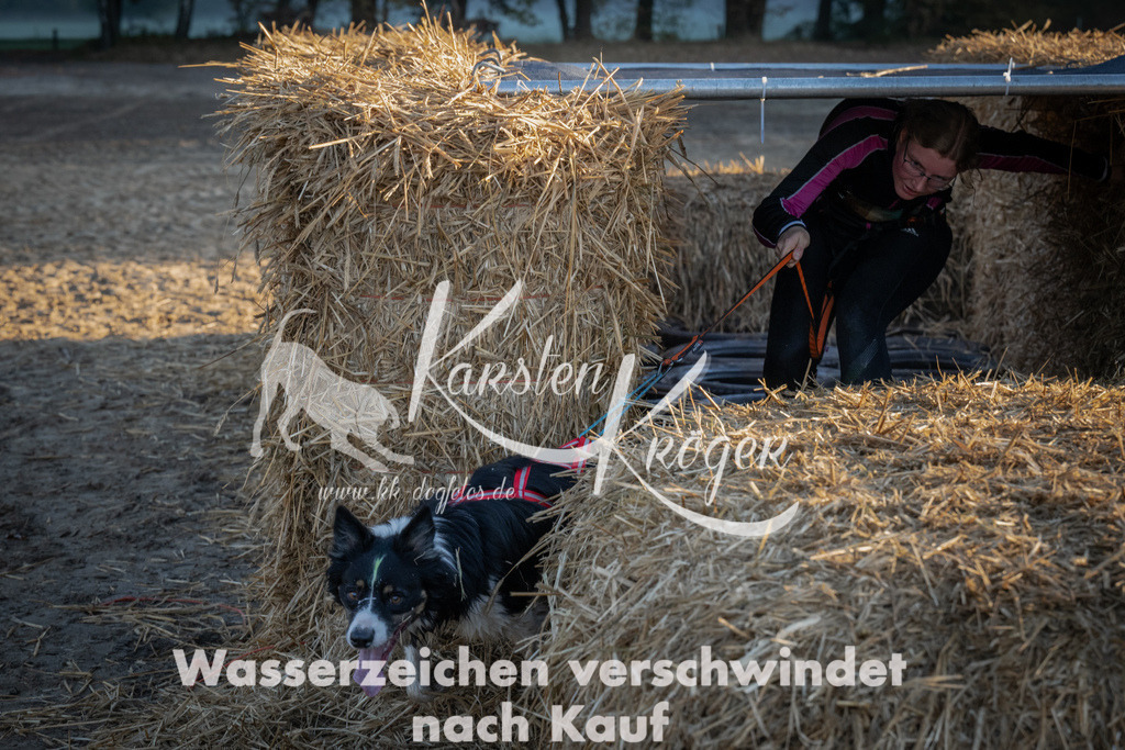 0909_ZZ91781 | kk-dogfotos