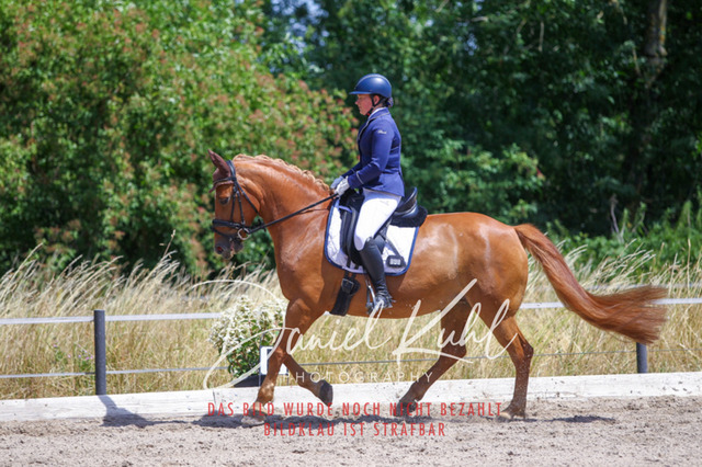 DKP46449 | Turniersportfotografie; Pferdefotografie; Dressurfotografie