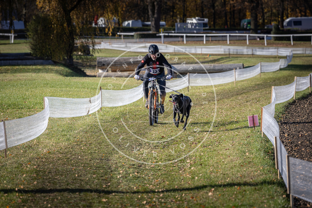 CaniXpix_DV3A5845 | Hundefotografie, Tierfotograf, Pfotenfotografie, Fotoshooting Hund, Hunde Portrait, Hundesport, Hundeportraits, Heideshooting, Hunde, Sportfotograf, Hundefotograf, Turnierhundsport, THS,  - Realisiert mit Pictrs.com